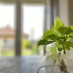 Apartmenthaus Luett דירה Ludorf