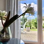Apartmenthaus Luett Ludorf