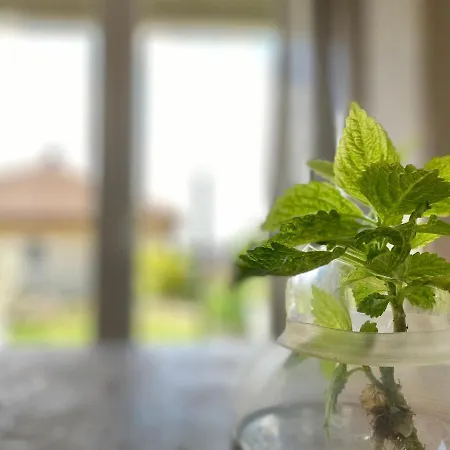 Apartmenthaus Lütt Appartement Ludorf