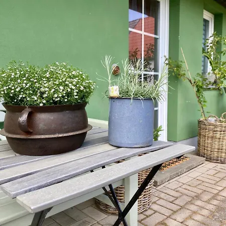 Apartmenthaus Luett * Ludorf