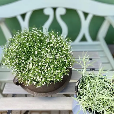 Apartmenthaus Luett * Ludorf