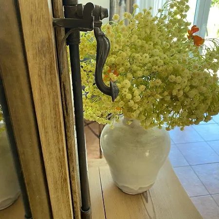 Apartmenthaus Luett