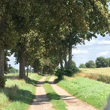 Apartamento Apartmenthaus Luett Ludorf