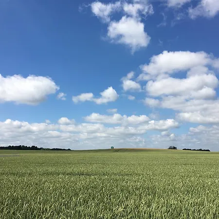 Apartmenthaus Luett * Ludorf